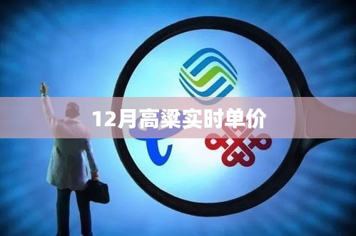 最新12月高粱实时市场单价概览