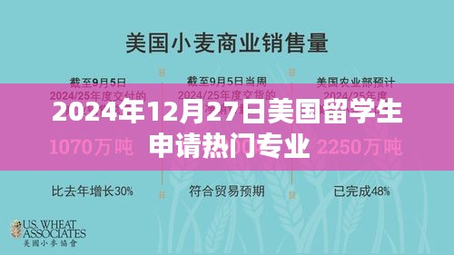 美国留学生热门申请专业在2024年12月27日分析