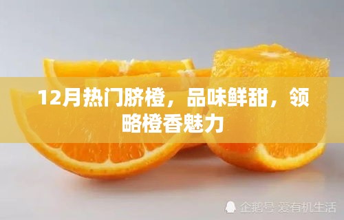 12月热门脐橙，鲜甜尝鲜，橙香四溢的魅力