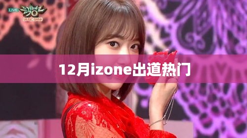 12月热门出道组合IZONE揭秘