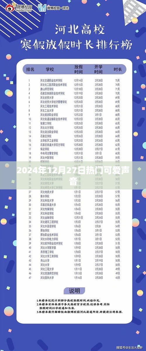 2024年12月27日可爱声音风潮来袭