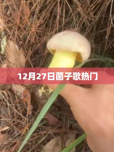 菌子歌爆红日期揭秘，12月27日热门风潮