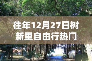 树新里自由行热门攻略，往年12月27日出行指南