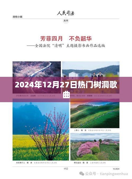 2024年冬季树洞流行歌曲榜单