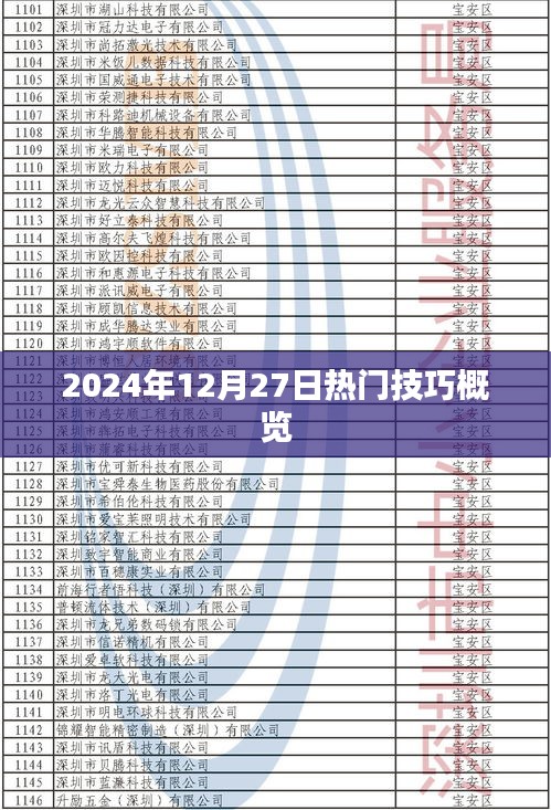 『2024年12月27日实用技巧大汇总』