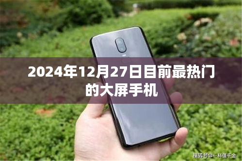 2024年大屏手机热门推荐，最新资讯一网打尽