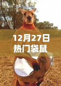 12月27日袋鼠梗大热