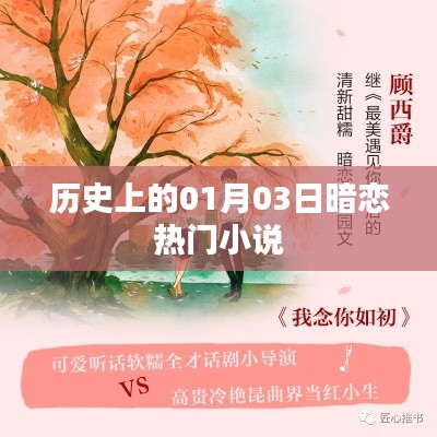 历史上的 01 月 03 日，暗恋小说盛行回顾