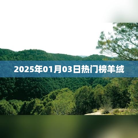 2025年1月热门羊绒榜揭晓！