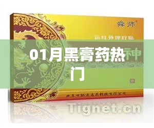 月黑膏药热门，精选必备指南