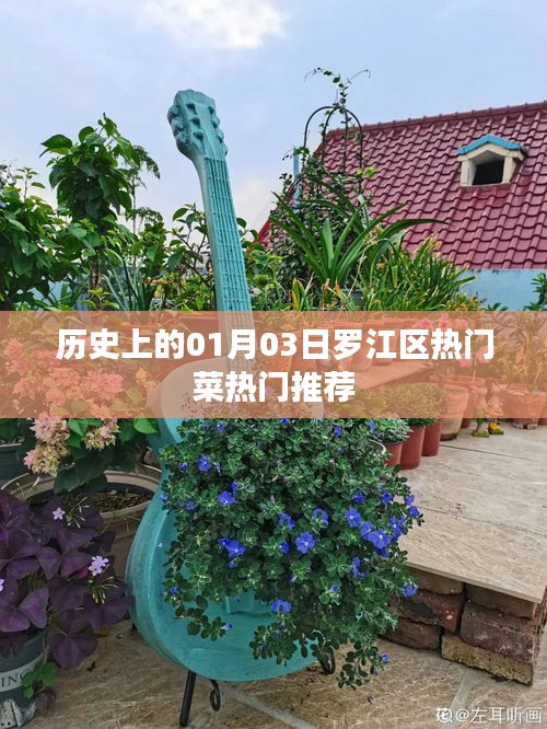 罗江区热门菜推荐，历史上的美食之旅