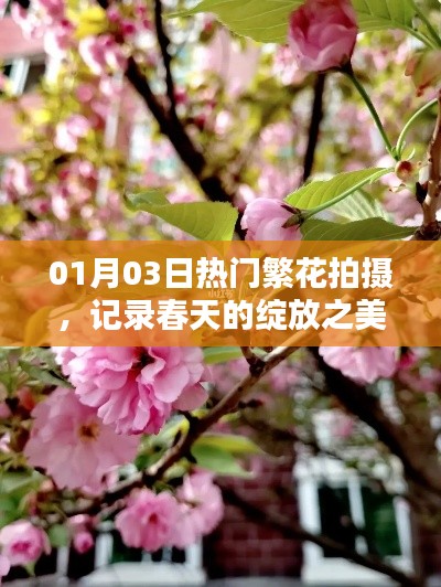 01月03日繁花拍摄记录，绽放之春