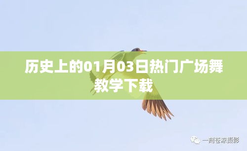 历史上的热门广场舞教学下载，一月三日精选