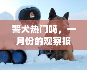 警犬一月份观察报告，热门工作犬的关注度分析