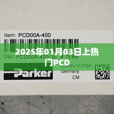 PCD热门事件揭秘，聚焦2025年1月3日