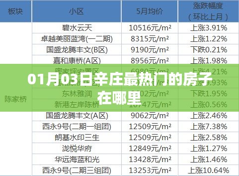 辛庄热门房源最新动态，探寻最热门房源位置