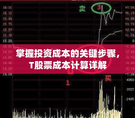 掌握投资成本的关键步骤，T股票成本计算详解