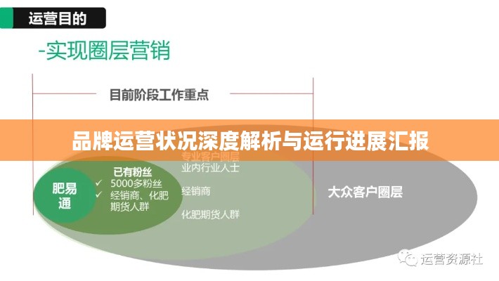 品牌运营状况深度解析与运行进展汇报