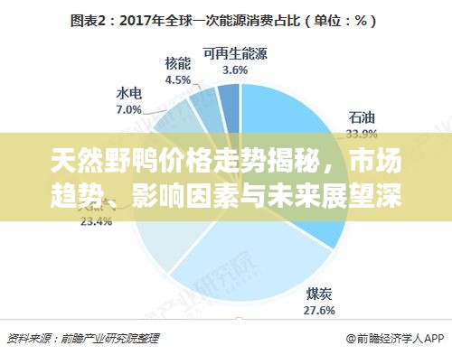 天然野鸭价格走势揭秘，市场趋势、影响因素与未来展望深度解析