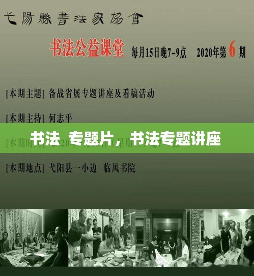 书法  专题片，书法专题讲座 