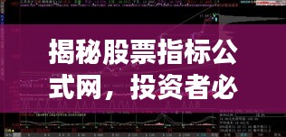 揭秘股票指标公式网，投资者必备的秘密武器探索