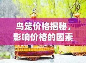 鸟笼价格揭秘，影响价格的因素与购买考量