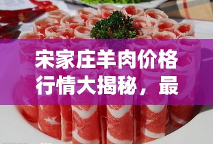 宋家庄羊肉价格行情大揭秘，最新动态与趋势分析