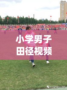 小学男子田径视频比赛，激情荣耀，速度与梦想的较量