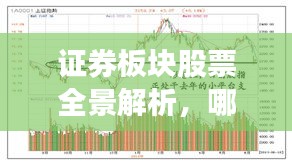 证券板块股票全景解析，哪些股票吸引投资者目光？