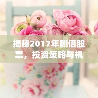 揭秘2017年翻倍股票，投资策略与机遇深度解析