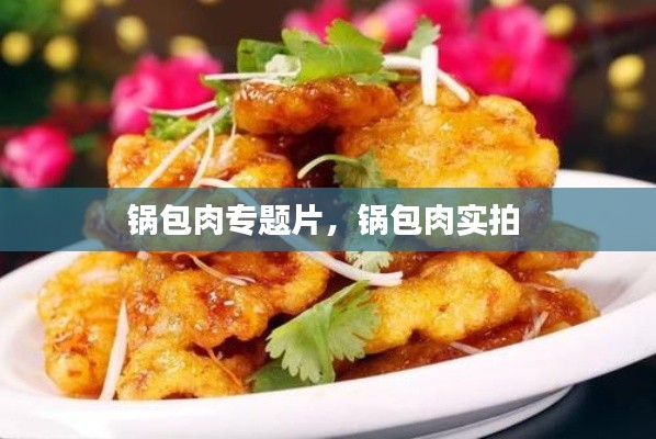 锅包肉专题片，锅包肉实拍 