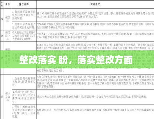 整改落实 盼，落实整改方面 