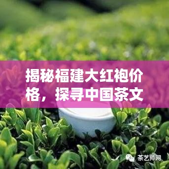 揭秘福建大红袍价格，探寻中国茶文化珍品，一斤究竟多少钱？