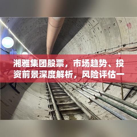 湘雅集团股票，市场趋势、投资前景深度解析，风险评估一网打尽