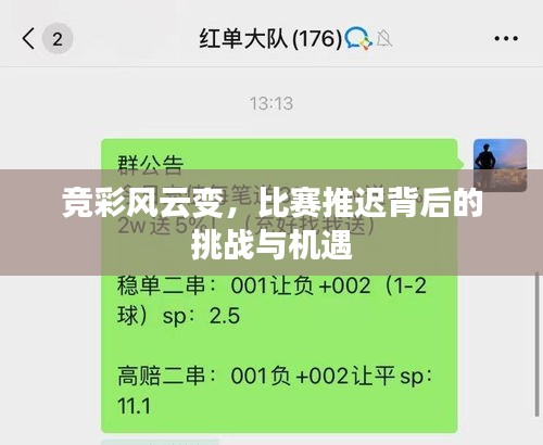 竞彩风云变，比赛推迟背后的挑战与机遇