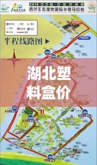 湖北塑料盒价格走势解析，专业行情分析助你洞悉市场动态