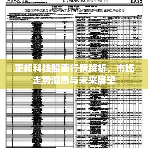 正邦科技股票行情解析，市场走势洞悉与未来展望