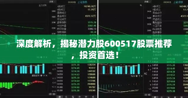深度解析，揭秘潜力股600517股票推荐，投资首选！
