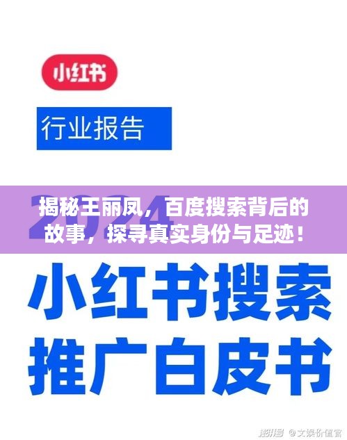 揭秘王丽凤，百度搜索背后的故事，探寻真实身份与足迹！