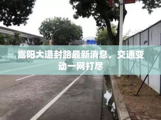 嵩阳大道封路最新消息，交通变动一网打尽