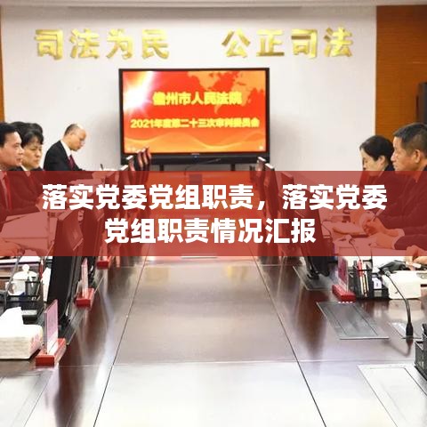 落实党委党组职责，落实党委党组职责情况汇报 