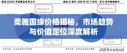 柔雅国缘价格揭秘，市场趋势与价值定位深度解析