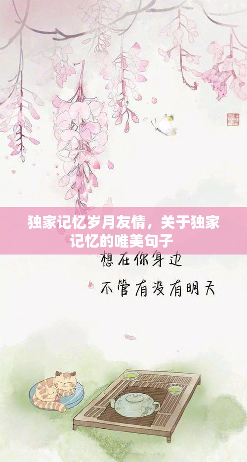 独家记忆岁月友情，关于独家记忆的唯美句子 