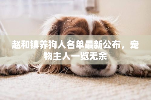 赵和镇养狗人名单最新公布，宠物主人一览无余