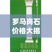 罗马岗石价格大揭秘，选购攻略与优惠折扣一网打尽