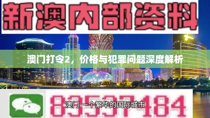 澳门打令2，价格与犯罪问题深度解析