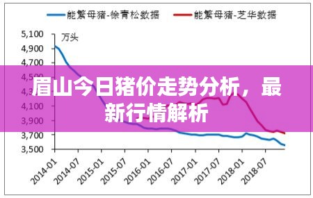 眉山今日猪价走势分析，最新行情解析