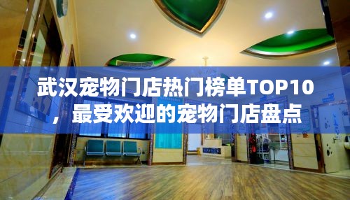 武汉宠物门店热门榜单TOP10，最受欢迎的宠物门店盘点