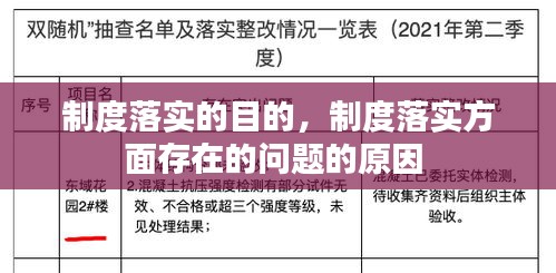 制度落实的目的，制度落实方面存在的问题的原因 