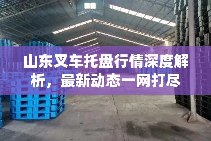 山东叉车托盘行情深度解析，最新动态一网打尽